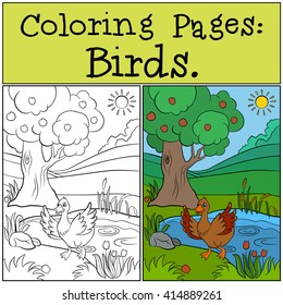 Coloring Pages: Birds. Little cute duck runs from the pond.