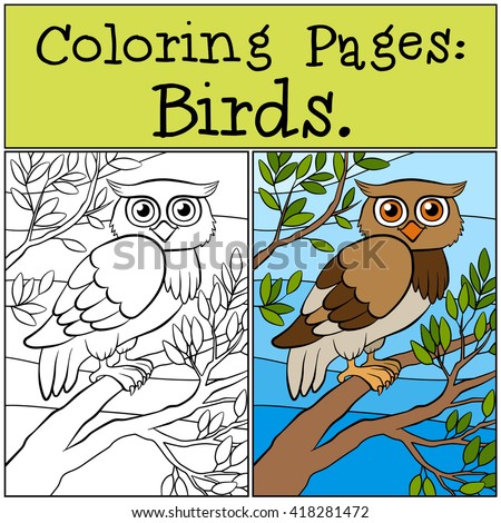 91 Coloring Pages Birds Pictures