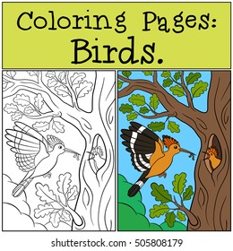 Coloring Pages: Birds. Mother hoopoe feeds her little cute baby.