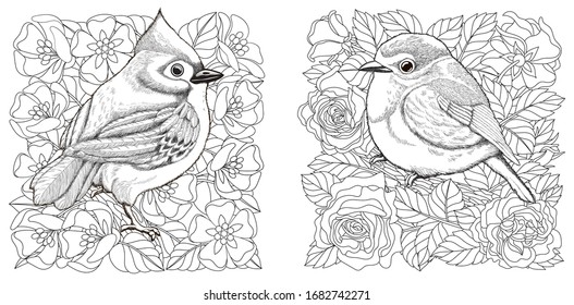 Coloring Pages. Birds In Spring Floral Garden. Line Art Design For Adult Or Kids Colouring Book In Zentangle Style. Vector Illustration. 