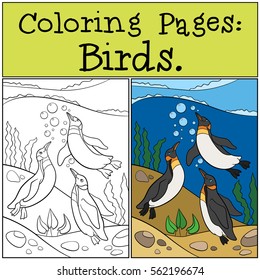 Coloring Pages: Birds. Three little cute penguins swim underwater and smile.