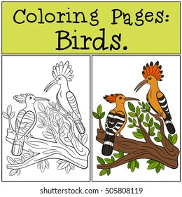 Coloring Pages: Birds. Two cute beautiful hoopoes sit on the tree branch and smile.