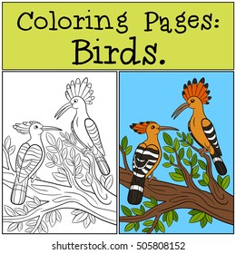 Coloring Pages: Birds. Two cute beautiful hoopoes sit on the tree branch and smile.