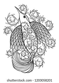 Coloring Pages. Coloring Book for adults. Beautiful template with artwork. School education. Bird hummingbird and twigs.Vector illustration.