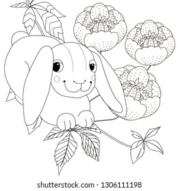 Coloring Pages. Coloring Book for adults and children. Colouring pictures with rabbit. Antistress freehand sketch drawing with doodle and zentangle element