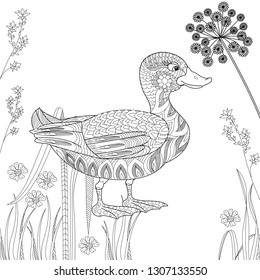 Coloring Pages. Coloring Book for adults and children. Colouring pictures with duck. Antistress freehand sketch drawing with doodle and zentangle elements.