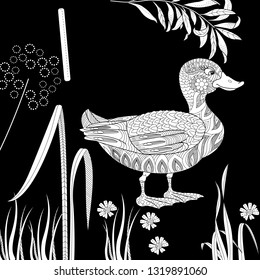 Coloring Pages. Coloring Book for adults and children. Colouring pictures with duck. Antistress freehand sketch drawing with doodle and zentangle elements.