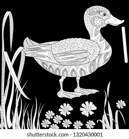 Coloring Pages. Coloring Book for adults and children. Colouring pictures with duck. Antistress freehand sketch drawing with doodle and zentangle elements.