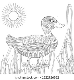 Coloring Pages. Coloring Book for adults and children. Colouring pictures with duck. Antistress freehand sketch drawing with doodle and zentangle elements.