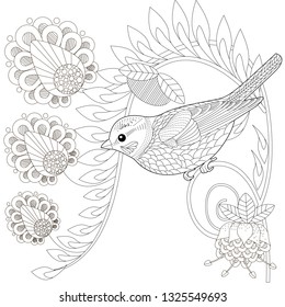 Hummingbird Colibri Coloring Book Adults Vector Stock Vector (Royalty ...