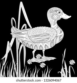 Coloring Pages. Coloring Book for adults and children. Colouring pictures with duck. Antistress freehand sketch drawing with doodle and zentangle elements.