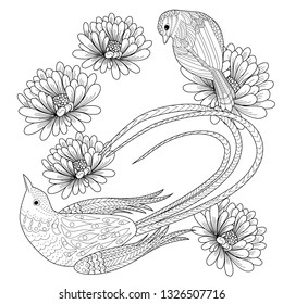 Coloring Pages. Coloring Book for adults and children. Colouring pictures with bird and flowers. Antistress freehand sketch drawing with doodle and zentangle element