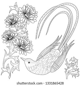 Coloring Pages. Coloring Book for adults and children. Colouring pictures with bird and flowers. Antistress freehand sketch drawing with doodle and zentangle element