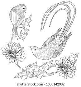 Coloring Pages. Coloring Book for adults and children. Colouring pictures with bird and flowers. Antistress freehand sketch drawing with doodle and zentangle element