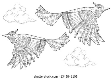 Coloring Pages. Coloring Book for adults and children. Colouring pictures with bird and flowers. Antistress freehand sketch drawing with doodle and zentangle element