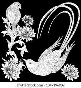 Coloring Pages. Coloring Book for adults and children. Colouring pictures with bird and flowers. Antistress freehand sketch drawing with doodle and zentangle element