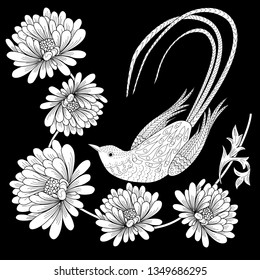 Coloring Pages. Coloring Book for adults and children. Colouring pictures with bird and flowers. Antistress freehand sketch drawing with doodle and zentangle element