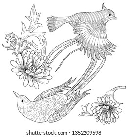 Coloring Pages. Coloring Book for adults and children. Colouring pictures with birds and flowers. Antistress freehand sketch drawing with doodle and zentangle element