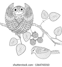 Coloring Pages. Coloring Book for adults and children. Colouring pictures with birds and flowers. Antistress freehand sketch drawing with doodle and zentangle element