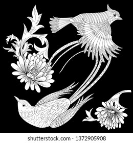 Coloring Pages. Coloring Book for adults and children. Colouring pictures with birds and flowers. Antistress freehand sketch drawing with doodle and zentangle element