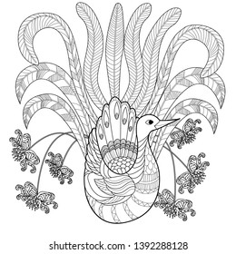 Coloring Pages. Coloring Book for adults and children. Colouring pictures with peacock. Antistress freehand sketch drawing with doodle and zentangle elements.