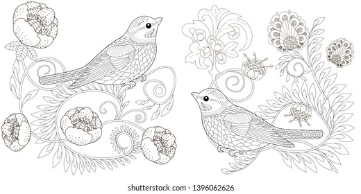Coloring Pages. Coloring Book for adults and children. Colouring pictures with birds and flowers. Antistress freehand sketch drawing with doodle and zentangle element