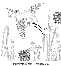 Coloring Pages. Coloring Book for adults and children. Colouring pictures with stork. Antistress freehand sketch drawing with doodle and zentangle element