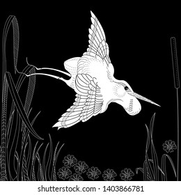 Coloring Pages. Coloring Book for adults and children. Colouring pictures with stork and flowers. Antistress freehand sketch drawing with doodle and zentangle element