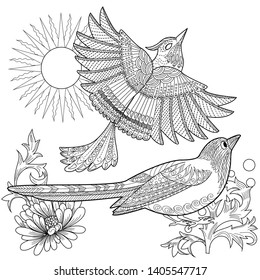 Coloring Pages. Coloring Book for adults and children. Colouring pictures with birds and flowers. Antistress freehand sketch drawing with doodle and zentangle element