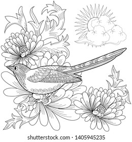 Coloring Pages. Coloring Book for adults and children. Colouring pictures with bird and flowers. Antistress freehand sketch drawing with doodle and zentangle element