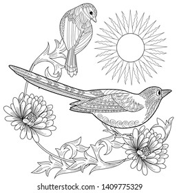 Coloring Pages. Coloring Book for adults and children. Colouring pictures with birds and flowers. Antistress freehand sketch drawing with doodle and zentangle element
