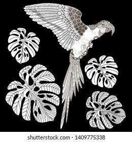 Coloring Pages. Coloring Book for adults and children. Colouring pictures with scare. Antistress freehand sketch drawing with doodle and zentangle element