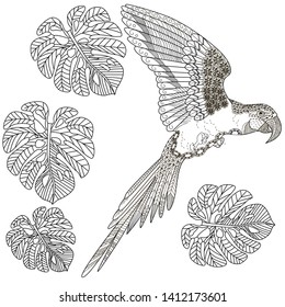 Coloring Pages. Coloring Book for adults and children. Colouring pictures with scare. Antistress freehand sketch drawing with doodle and zentangle element