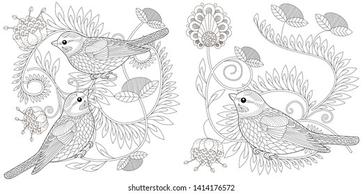 coloring pages bird adults images stock photos vectors shutterstock