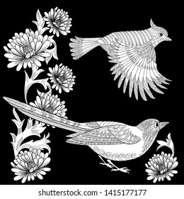 Coloring Pages. Coloring Book for adults and children. Colouring pictures with birds and flowers. Antistress freehand sketch drawing with doodle and zentangle element