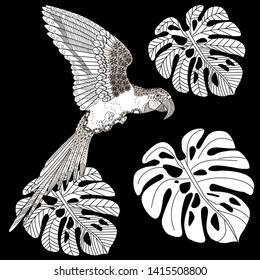 Coloring Pages. Coloring Book for adults and children. Colouring pictures with parrot. Antistress freehand sketch drawing with doodle and zentangle element