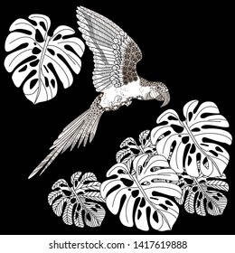 Coloring Pages. Coloring Book for adults and children. Colouring pictures with parrot. Antistress freehand sketch drawing with doodle and zentangle element