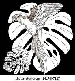 Coloring Pages. Coloring Book for adults and children. Colouring pictures with parrot. Antistress freehand sketch drawing with doodle and zentangle element
