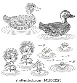 Coloring Pages. Coloring Book for adults and children. Colouring pictures with duck and lotus, lily,. Antistress freehand sketch drawing with doodle and zentangle element