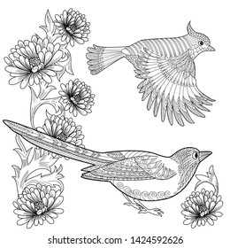 Coloring Pages. Coloring Book for adults and children. Colouring pictures with birds and flowers. Antistress freehand sketch drawing with doodle and zentangle element