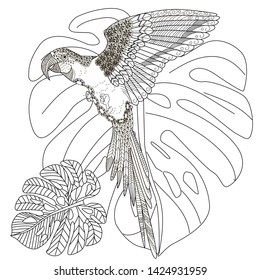 Coloring Pages. Coloring Book for adults and children. Colouring pictures with birds and flowers. Antistress freehand sketch drawing with doodle and zentangle element