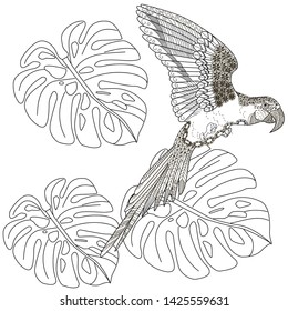 Coloring Pages. Coloring Book for adults and children. Colouring pictures with birds and flowers. Antistress freehand sketch drawing with doodle and zentangle element