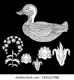 Coloring Pages. Coloring Book for adults and children. Colouring pictures with duck, lotus, lily, Antistress freehand sketch drawing with doodle and zentangle element