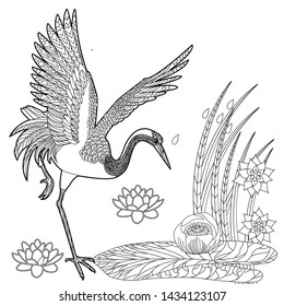 Coloring Pages. Coloring Book for adults and children. Colouring pictures with birds and flowers. Antistress freehand sketch drawing with doodle and zentangle element