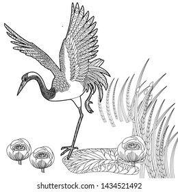 Coloring Pages. Coloring Book for adults and children. Colouring pictures with birds and flowers. Antistress freehand sketch drawing with doodle and zentangle element