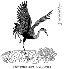 Coloring Pages. Coloring Book for adults and children. Colouring pictures with birds and flowers. Antistress freehand sketch drawing with doodle and zentangle element