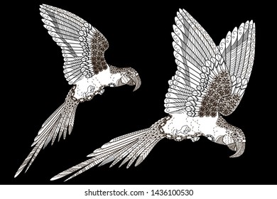 Coloring Pages. Coloring Book for adults and children. Colouring pictures with birds and flowers. Antistress freehand sketch drawing with doodle and zentangle element