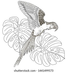 Coloring Pages. Coloring Book for adults and children. Colouring pictures with parrot and flowers. Antistress freehand sketch drawing with doodle and zentangle element