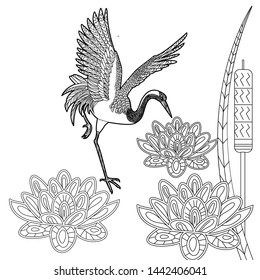 Coloring Pages. Coloring Book for adults and children. Colouring pictures with birds and flowers. Antistress freehand sketch drawing with doodle and zentangle element
