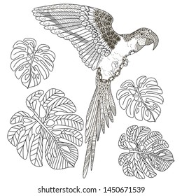 Coloring Pages. Coloring Book for adults and children. Colouring pictures with parrot. Antistress freehand sketch drawing with doodle and zentangle element